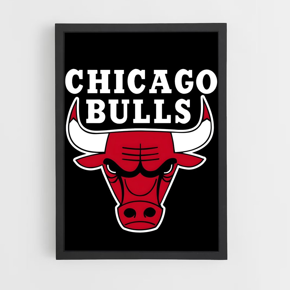 Poster Bulls Power – affiche Basketball (vue 2)
